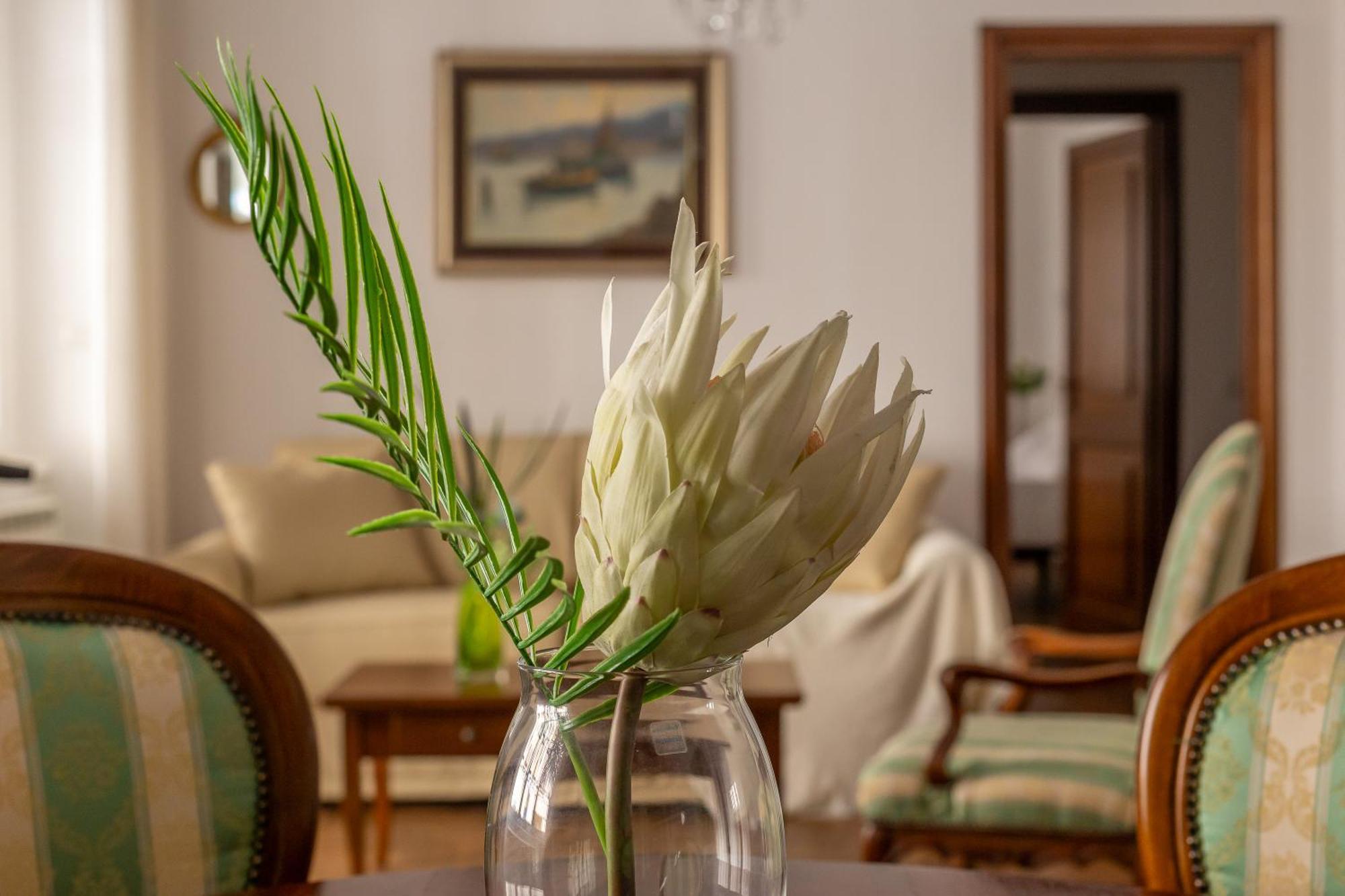 Iflat Vatican Spacious Apartment With Terrace 罗马 外观 照片