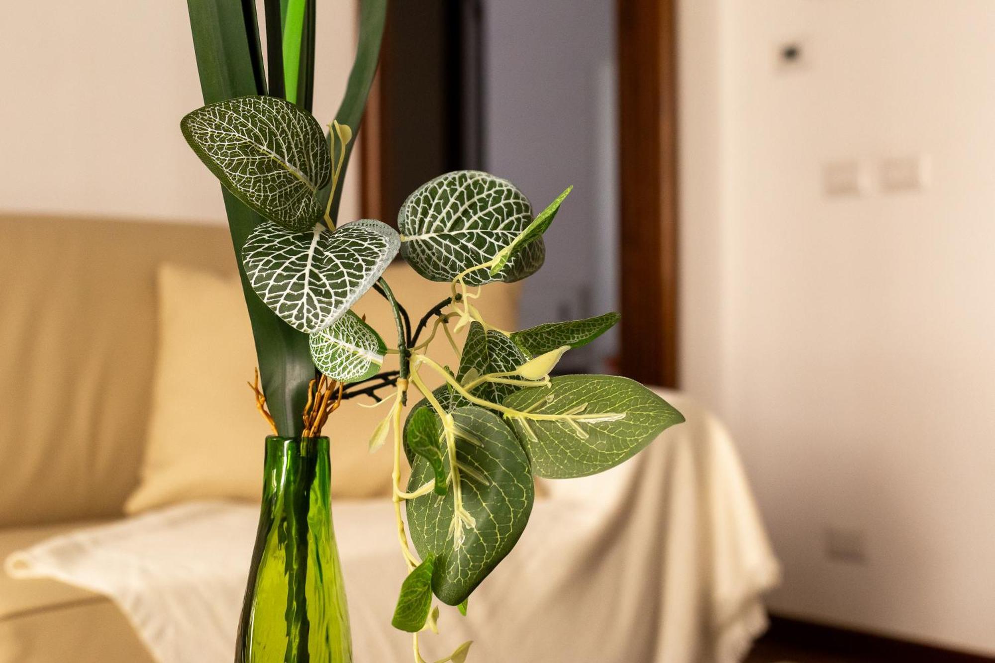 Iflat Vatican Spacious Apartment With Terrace 罗马 外观 照片